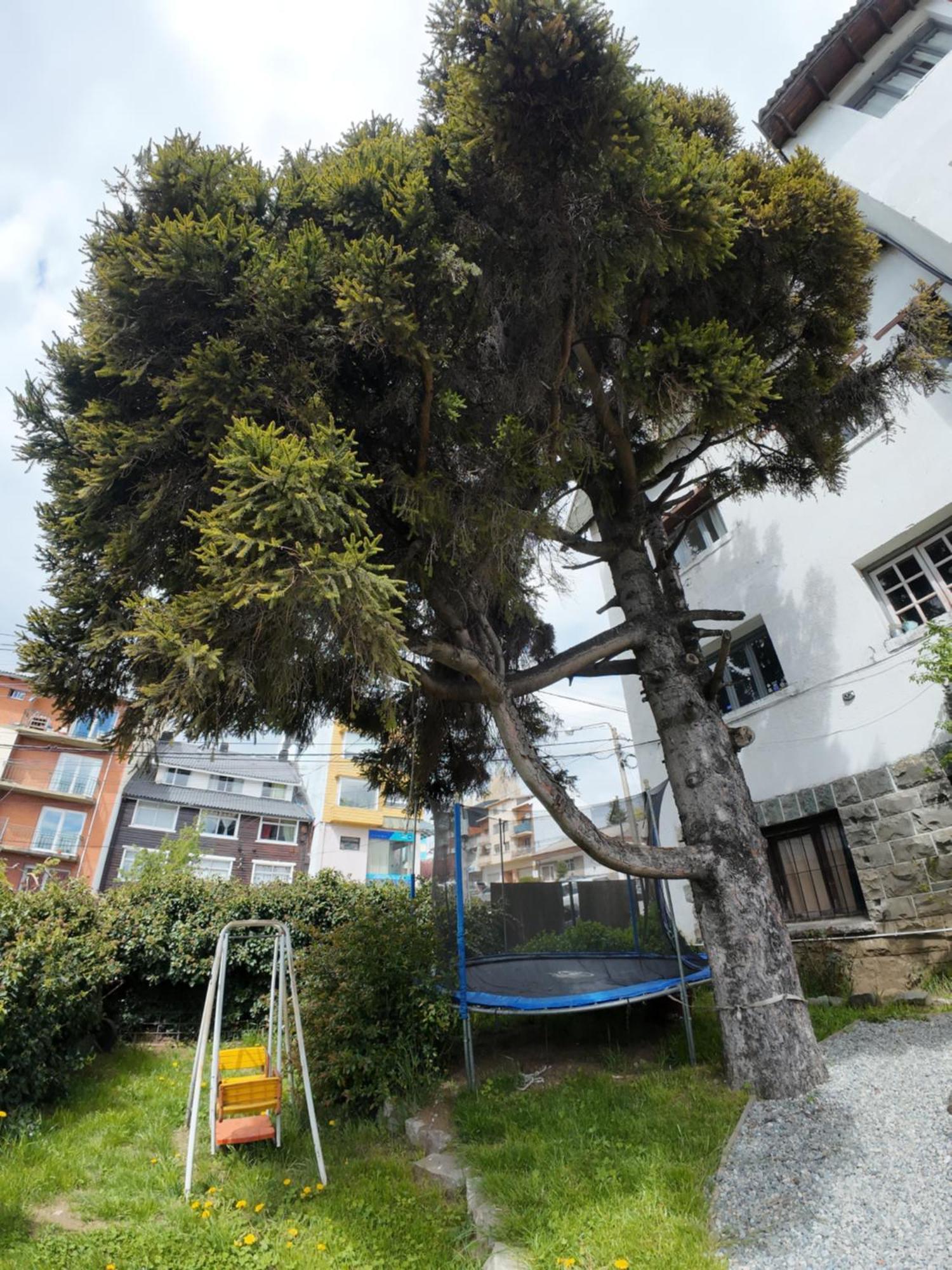 Temiscira Hostel Σαν Κάρλος ντε Μπαριλότσε Εξωτερικό φωτογραφία