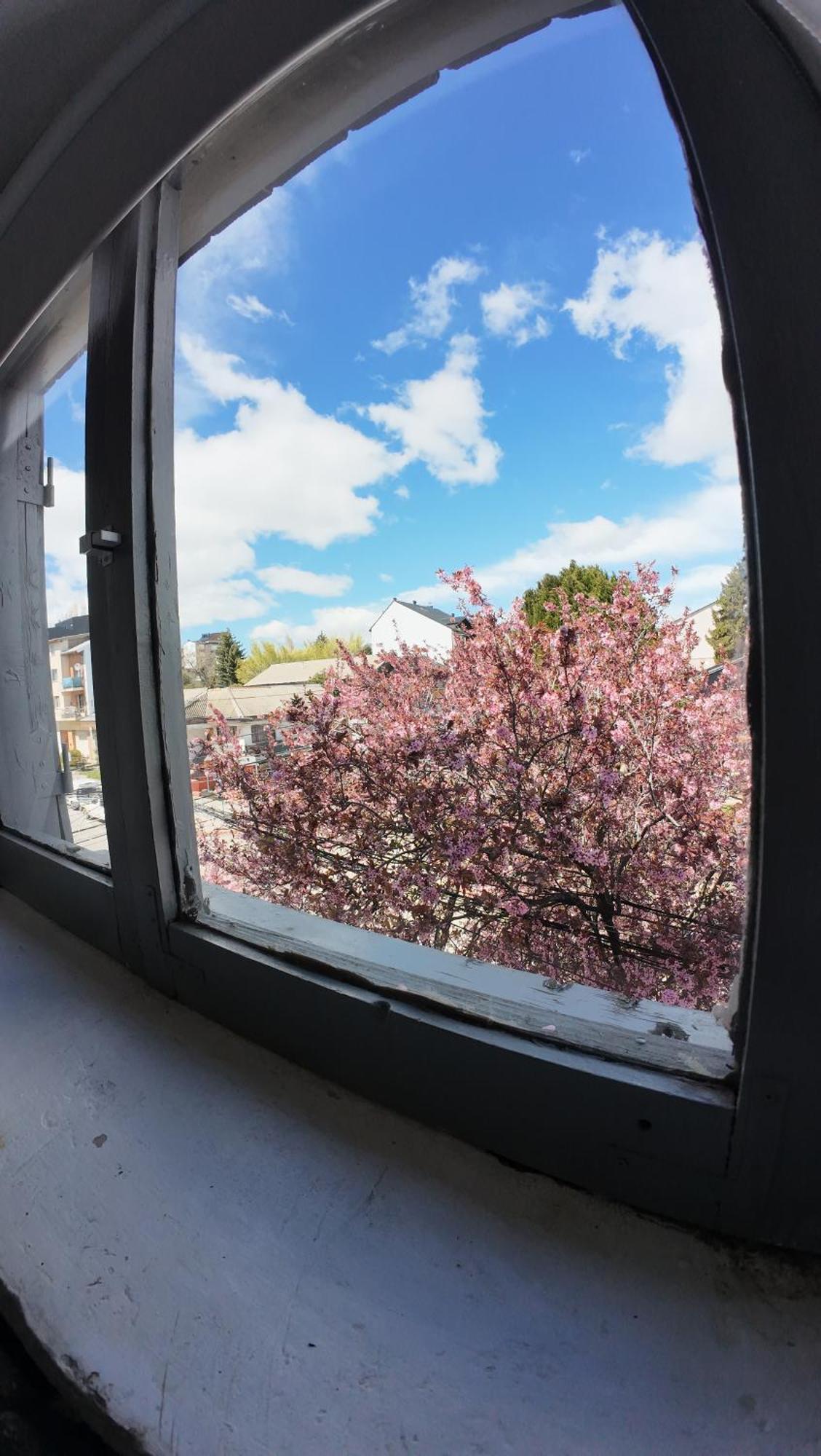 Temiscira Hostel Σαν Κάρλος ντε Μπαριλότσε Εξωτερικό φωτογραφία
